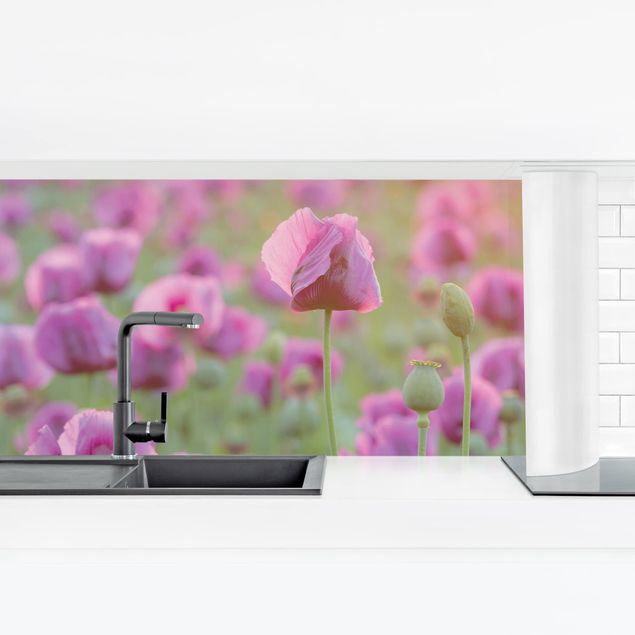 Kitchen wall cladding - Purple Poppy Flower Meadow In Spring