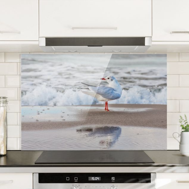 Glass splashback art print Seagull On The Beach In Front Of The Sea