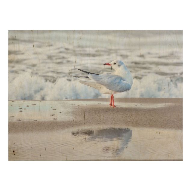Print on wood - Seagull On The Beach In Front Of The Sea