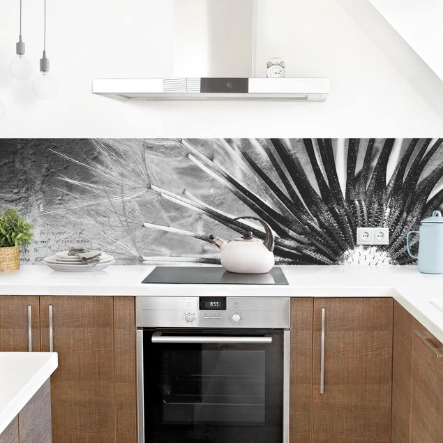 Kitchen splashbacks Dandelion Black & White