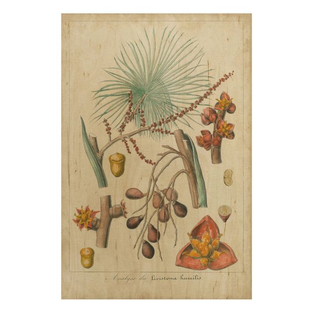 Print on wood - Vintage Board Exotic Palms III