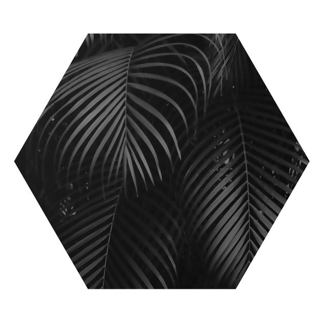 Alu-Dibond hexagon - Black Palm Fronds