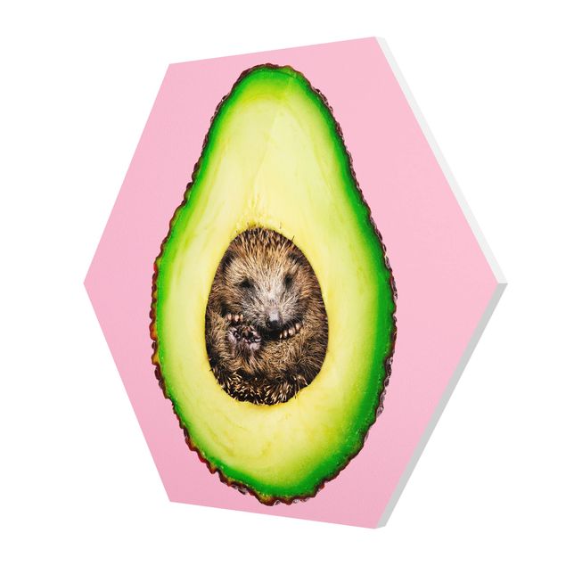 Forex hexagon - Avocado With Hedgehog