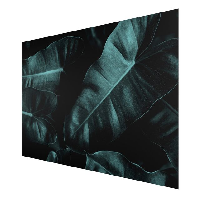 Alu-Dibond print - Jungle Leaves Dark Green