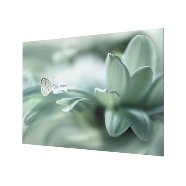 Glass Splashback - Butterfly And Dew Drops In Pastel Green - Landscape 3:4