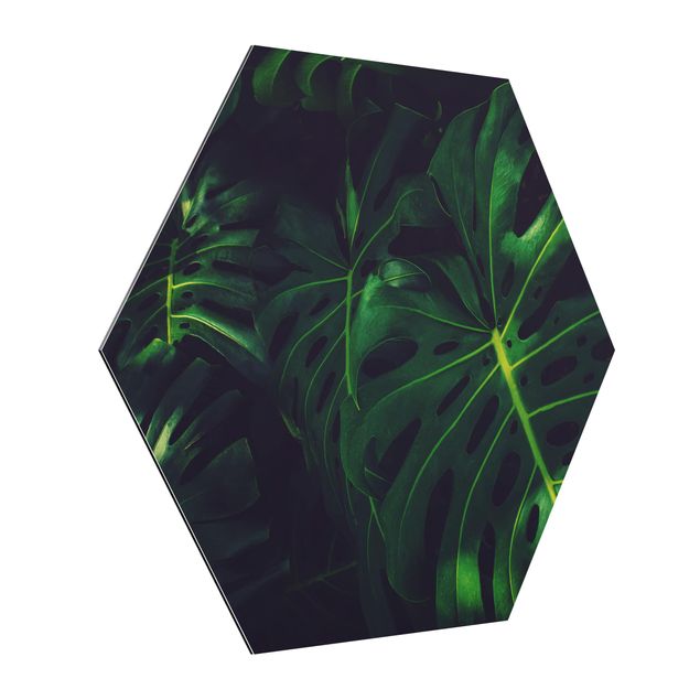 Alu-Dibond hexagon - Monstera Jungle