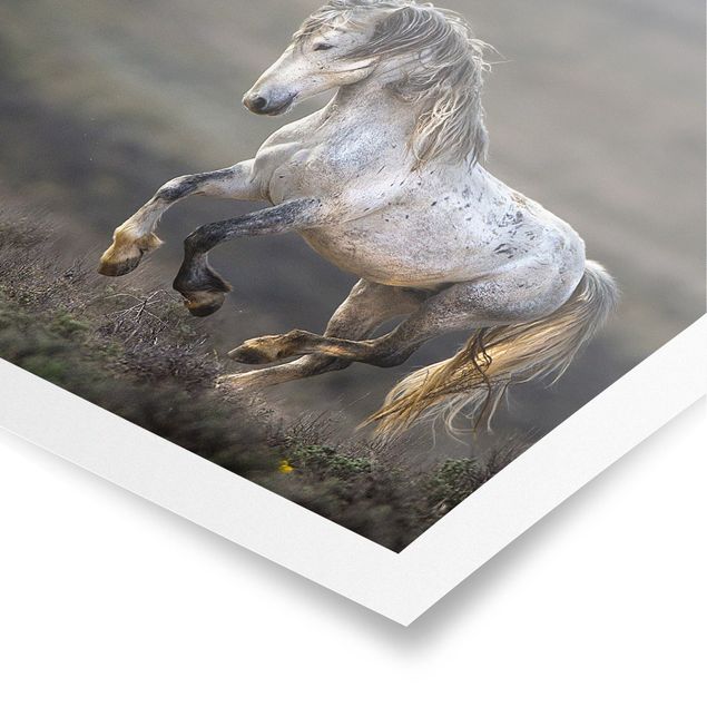 Poster - Galloping Through The Heather