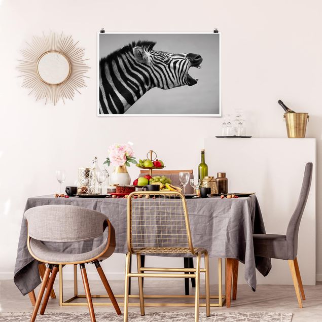 Poster - Roaring Zebra ll