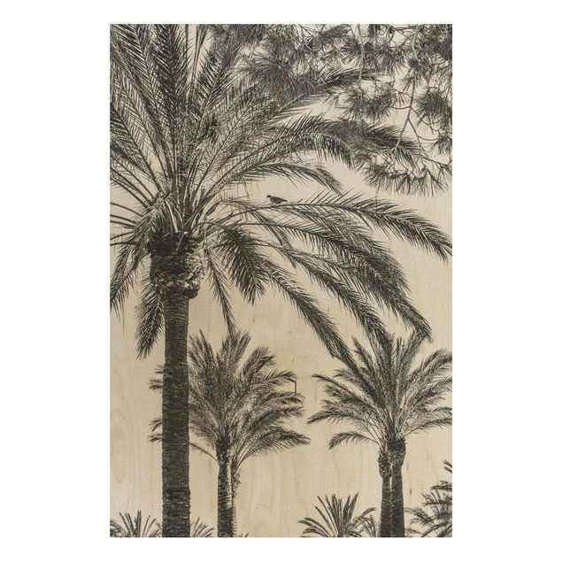 Print on wood - Palm Trees At Sunset Black And White