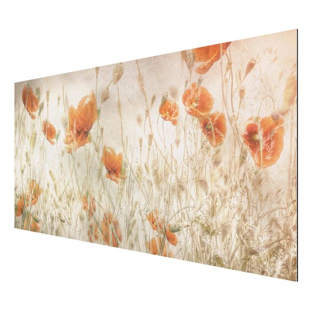 Print on aluminium - Poppy Flowers And Grasses In A Field