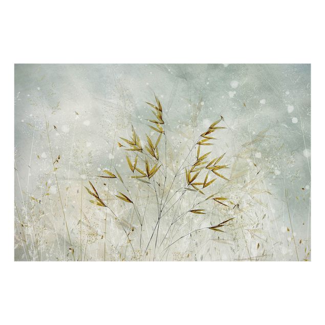 Splashback - Delicate Branches In Winter Fog - Landscape format 3:2