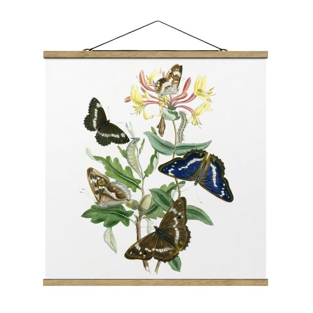 Fabric print with poster hangers - British Butterflies IV