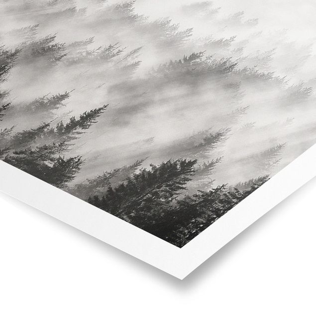 Panoramic poster black and white - Light Rays In The Coniferous Forest