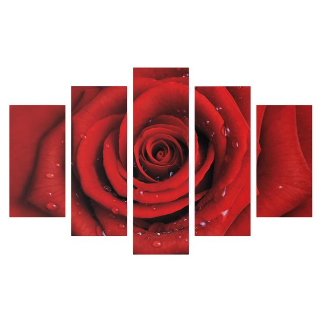 Print on canvas 5 parts - Red Rose With Water Drops