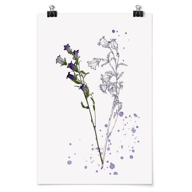 Poster flowers - Botanical Watercolour - Bellflower