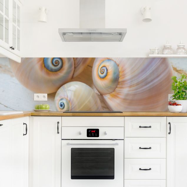 Kitchen wall cladding - Clam Trio On Wood