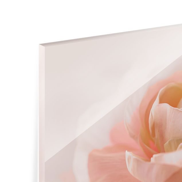 Splashback - Focus On Light Pink Flower - Landscape format 3:2