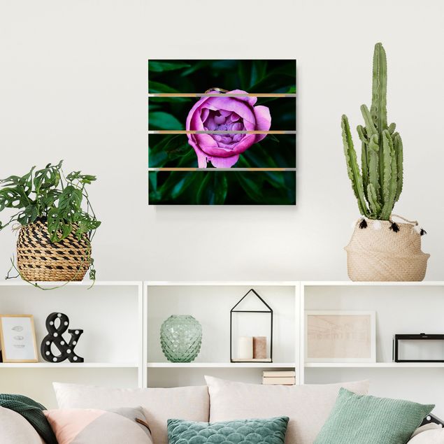 Print on wood - Purple Peonies Blossoms In Front Of Leaves