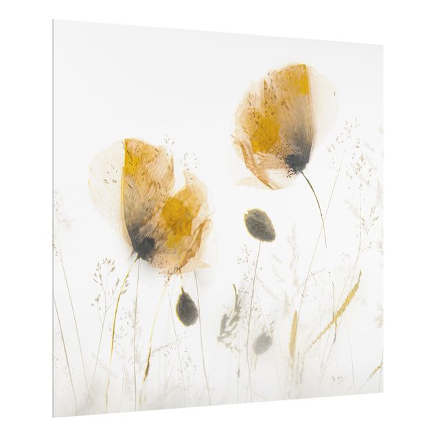 Splashback - Poppy Flowers And Delicate Grasses In Soft Fog - Square 1:1
