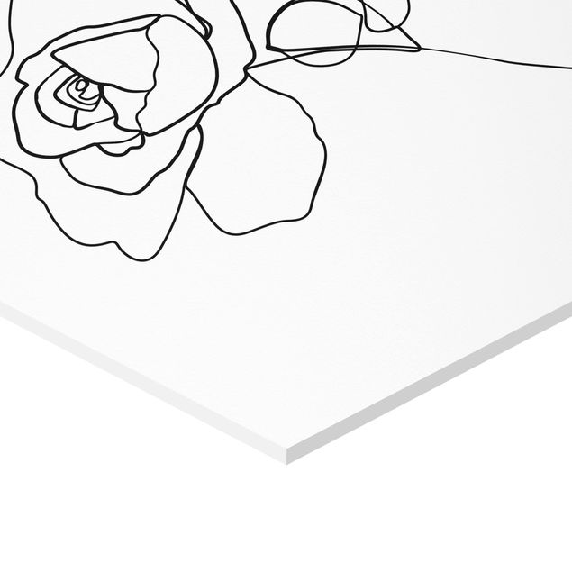 Forex hexagon - Line Art Rose Black White