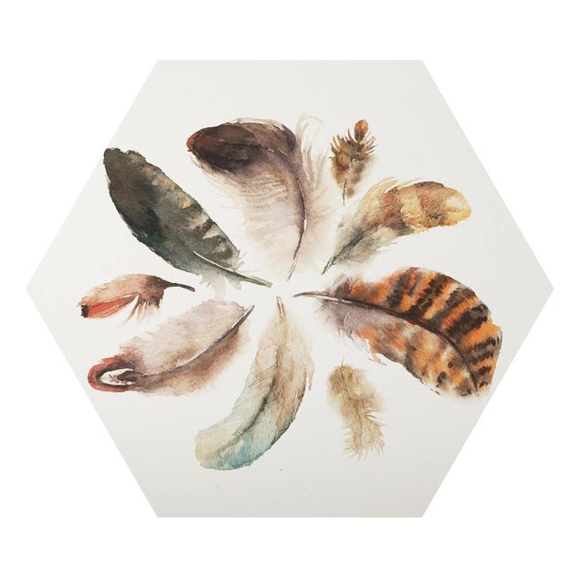 Alu-Dibond hexagon - Feather Collection