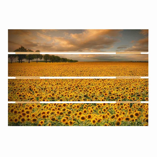 Print on wood - Field With Sunflowers