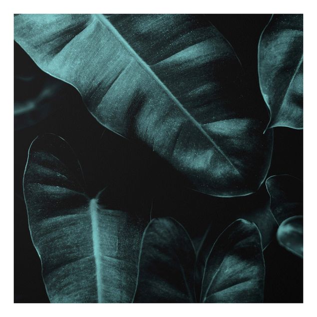 Print on forex - Jungle Leaves Dark Green