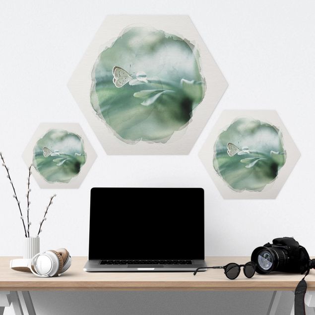 Forex hexagon - WaterColours - Butterfly And Dew Drops In Pastel Green