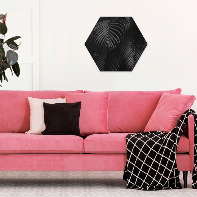 Hexagon Picture Forex - Black Palm Fronds
