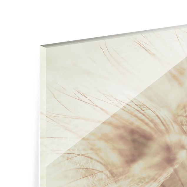 Glass Splashback - Detailed Dandelion Macro Shot With Vintage Blur Effect - Landscape 3:4