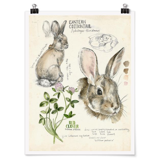 Poster flowers - Wilderness Journal - Rabbit