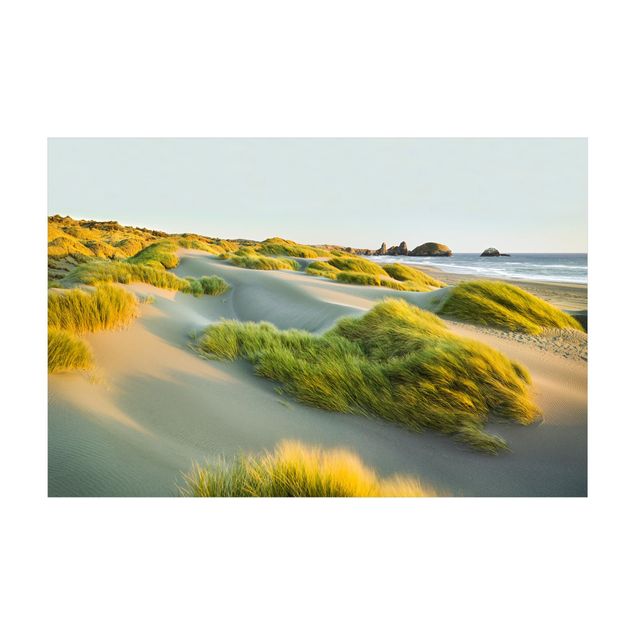 Nature rugs Dunes And Grasses At The Sea
