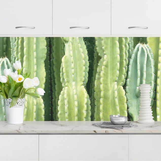 Splashback flower Cactus Wall