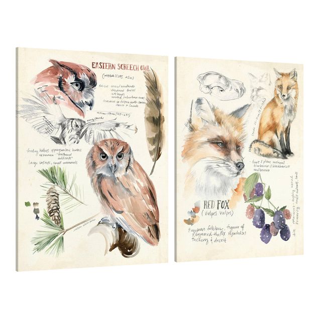 Print on canvas - Wilderness Journal Owl And Fox Set I