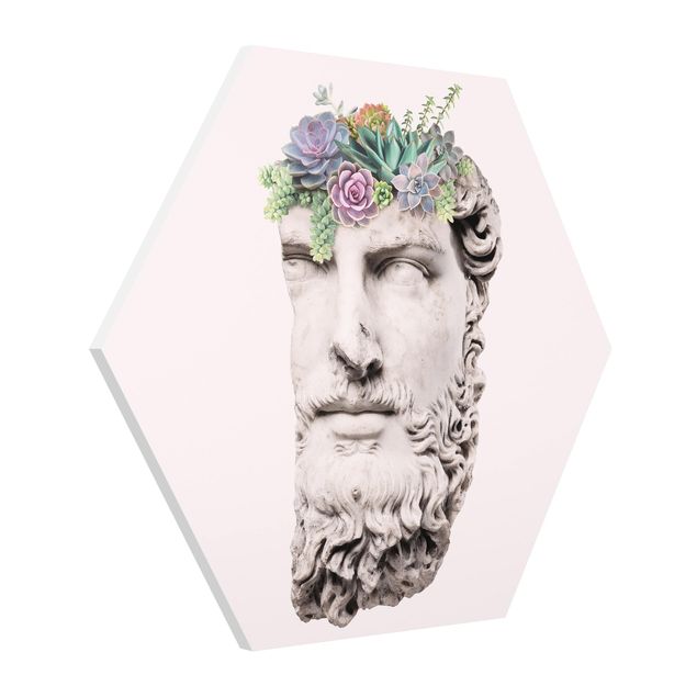 Forex hexagon - Head With Succulents