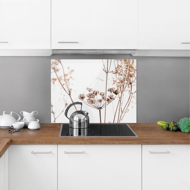 Glass splashback kitchen Dried Flower With Light And Shadows