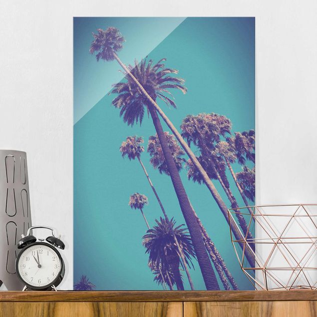 Glas Magnetboard Tropical Plants Palm Trees And Sky