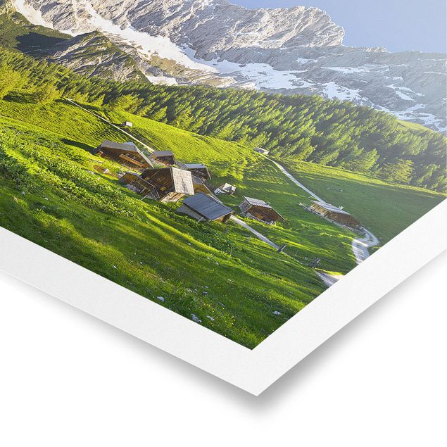 Poster - Styria Alpine Meadow