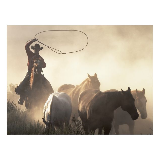 Forex print - Cowboy silhouette