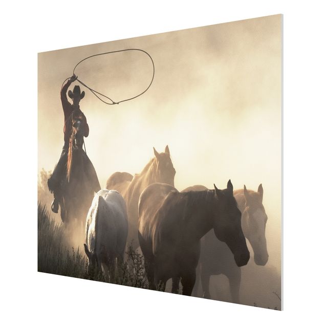 Forex print - Cowboy silhouette