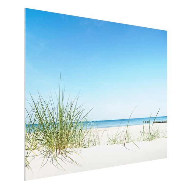 Forex print - Baltic Sea Coast