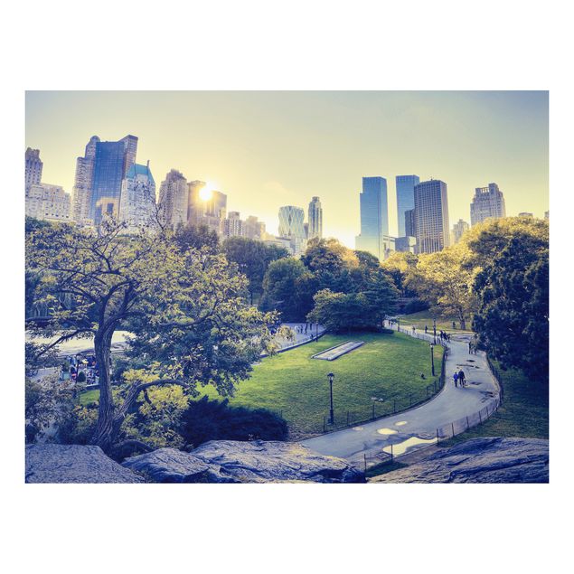 Forex print - Peaceful Central Park