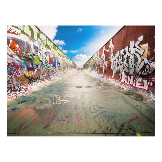 Forex print - Skate Graffiti