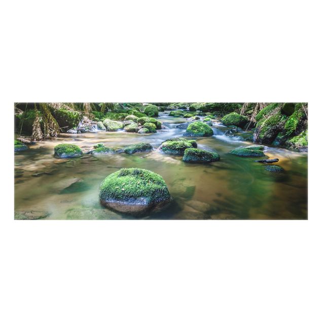 Glass Splashback - Creek In Jungle - Panorama 5:2