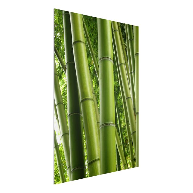 Dibond Bamboo Trees No.1
