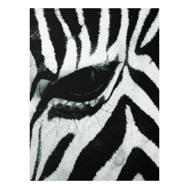 Print on aluminium - Zebra Crossing No.2