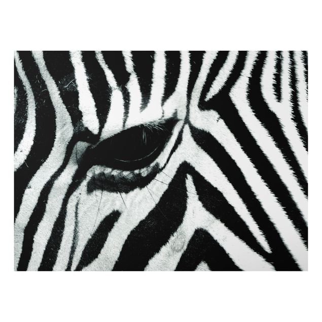Print on aluminium - Zebra Crossing No.2