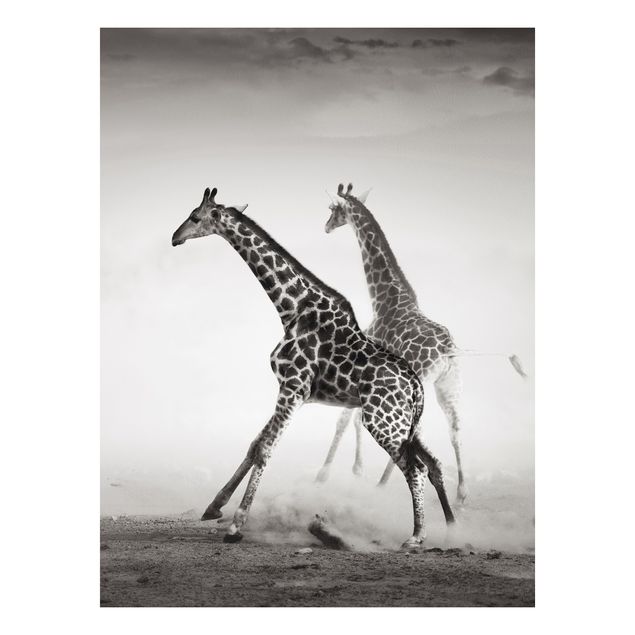 Forex print - Giraffe Hunt