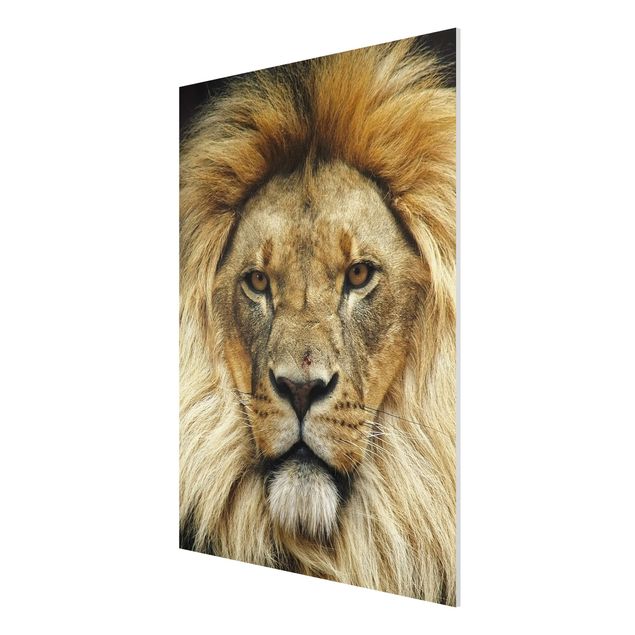 Forex print - Wisdom Of Lion