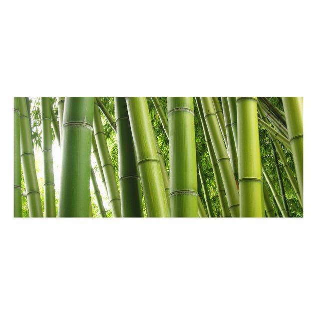 Forex print - Bamboo Trees No.1